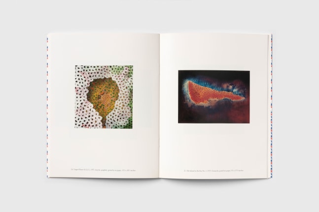 Yayoi Kusami The 1950s and 1960s 4