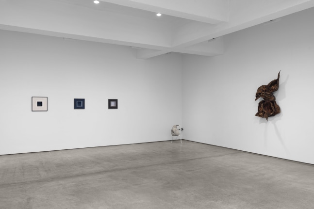 Installation view, Disparity, Paula Cooper Gallery, New York, April 12 – June 1, 2024. Photo: Steven Probert.