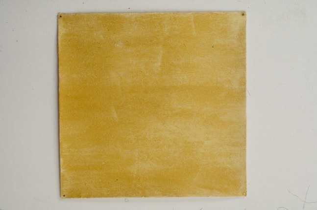 Meg Webster &quot;Fenugreek&quot; 2000 Fenugreek on paper 14 x 14&quot;