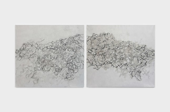 Beatrice Caracciolo Bosco Lontano VIII, 2022 pigment, gouache, and charcoal on canvas, two panels each panel: 58 x 63 1/2 in. (147.3 x 161.3 cm)  overall: 58 x 129 in. (147.3 x 327.7 cm)