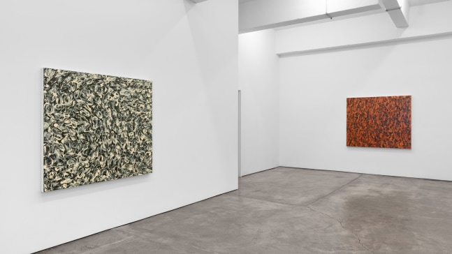 Installation view of paintings by Julian Lethbridge at Paula Cooper Gallery