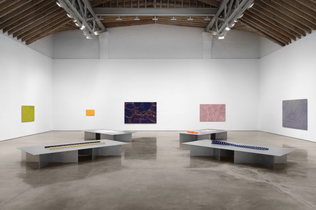 Installation view, Tauba Auerbach: Free Will, Paula Cooper Gallery, New York, March 18 - April 22, 2023. Photo: Steven Probert