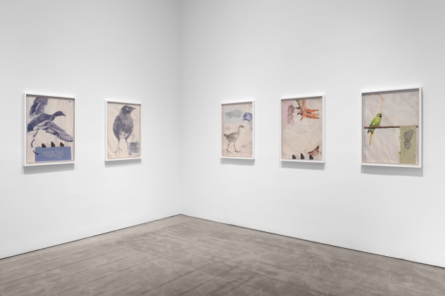 Installation view 1, Walid Raad, We have never been so populated, March 8 – April 16, 2022, 524 W 26th Street