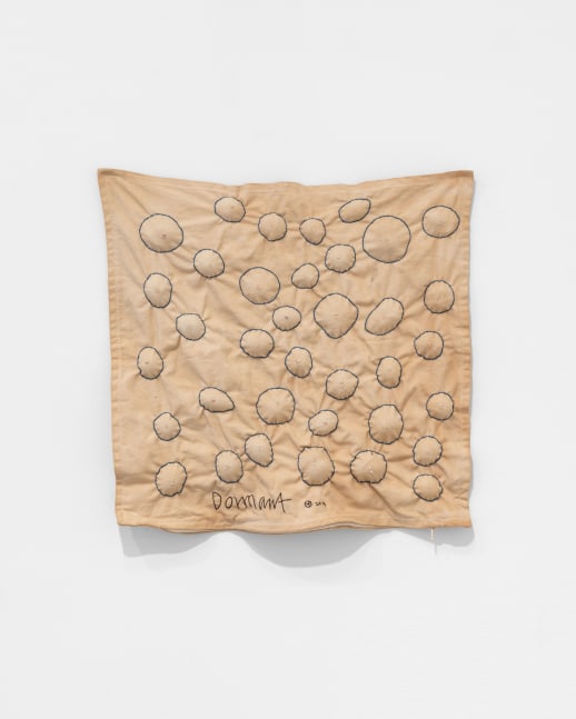 Veronica Ryan, Multiple Conversations XX (Dormant), 2019 fabric, thread, seeds, 17 1/2 x 18 x 1 in. (44.5 x 45.7 x 2.5 cm)