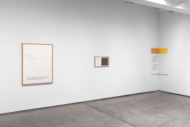 Douglas Huebler, Sherrie Levine, Walid Raad