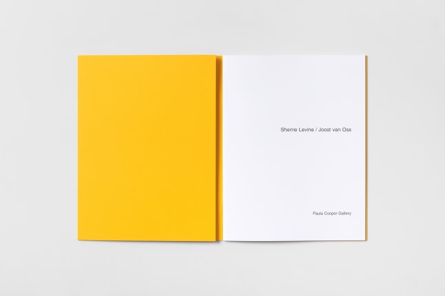 Sherrie Levine / Joost van Oss 1