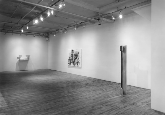 Installation view, Bill Anastasi, Candace Clement, Jeremy Gilbert-Rolfe, Rudy Heintze, Bob Huot, Michael Hurson, Pete Omlor, Ellen Phelan, Tom Wudl, Kes Zapkus, Paula Cooper Gallery, 155 Wooster St, New York. Photo: Geoffrey Clements.&amp;nbsp;