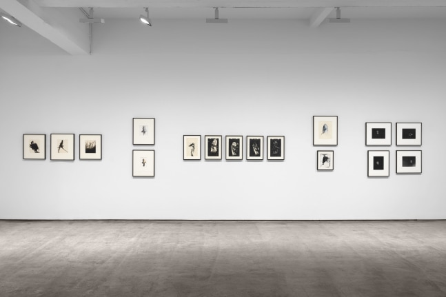 Inventing Objects - Jay DeFeo’s Photographic Work - Exhibitions - Paula ...