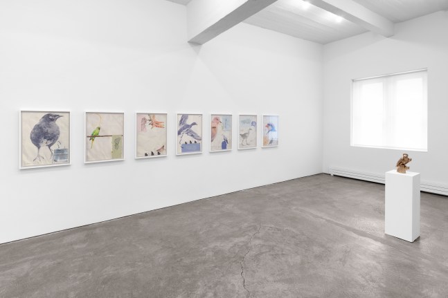 Douglas Huebler, Sherrie Levine, Walid Raad