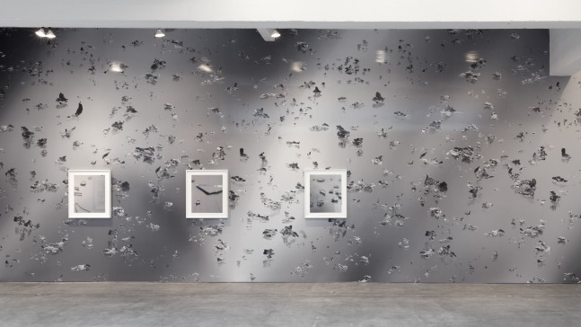Installation view, Bing Wright, December 10, 2013 – January 18, 2014