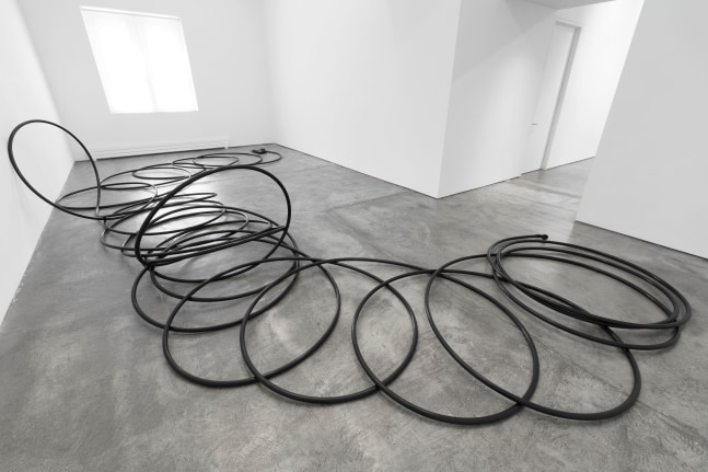 Christian Marclay, Extended Phone II, 1994; telephone and plastic tubing; dimensions variable