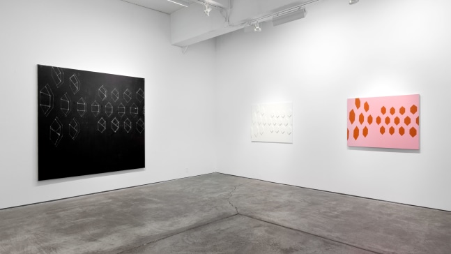 Installation view, Walid Raad and David Diao, September 22 – November 3, 2012