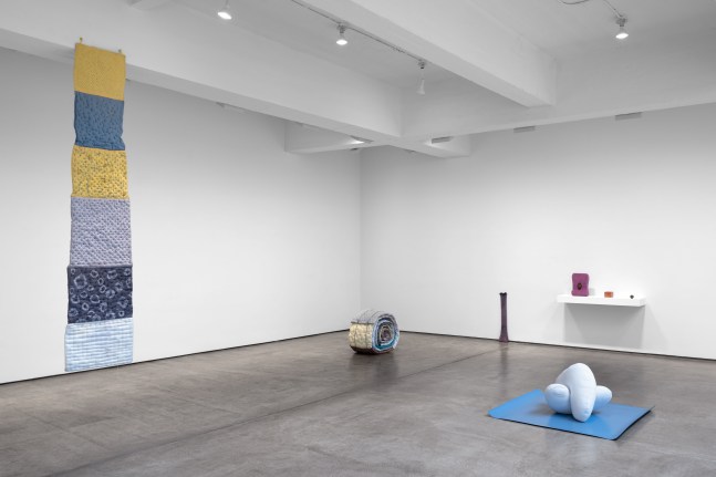 Installation view, Veronica Ryan: Along a Spectrum, April 2 – June 4, 2022, 521 W 21st Street