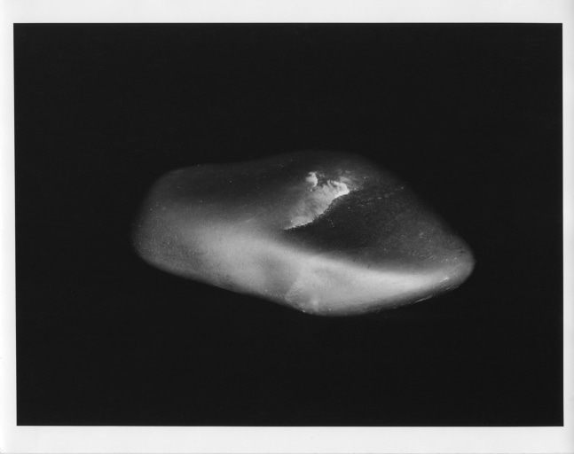 Peter Campus &quot;Inside-Out&quot; 1987 Photoprojection 30&quot; x 68&quot;