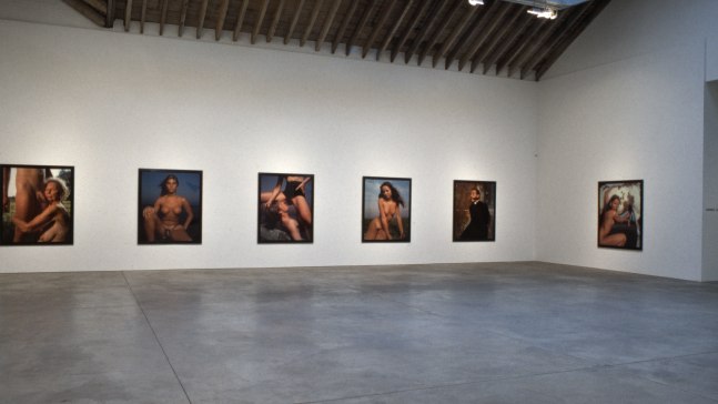 Installation view, A History of Sex, Paula Cooper Gallery, 534 W 21st Street, New York, March 1 - April 12, 1997. Photo: Adam Reich.
