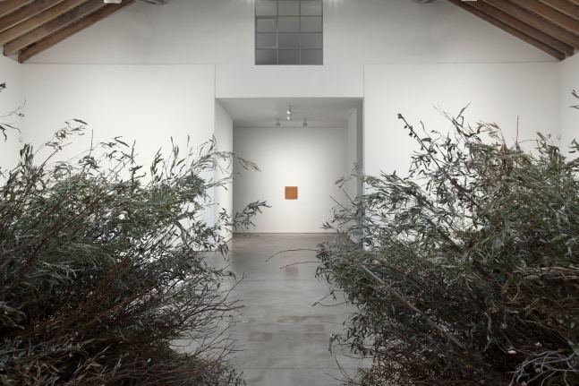 Installation view, Meg Webster, May 7 – July 12, 2016