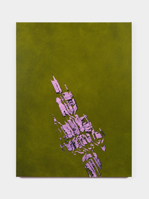 Tauba Auerbach Grain - Mandelbrot Quartet Escape (Ventrella Variation), 2022 acrylic paint on canvas, wood stretcher 60 x 45 in. (152.4 x 114.3 cm)