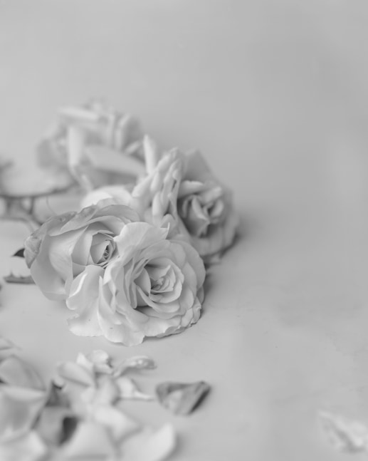 Rose (Reclining), 1996 archival ink jet print frame: 59 x 49 x 3 in. (149.9 x 124.5 x 7.6 cm) Edition of 5