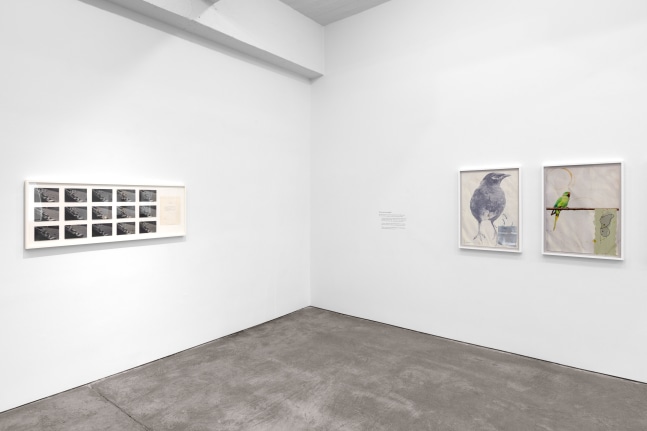 Douglas Huebler, Sherrie Levine, Walid Raad