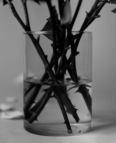 Bing Wright "Rose (Stems in a Vase) 1996-2006 Archival inkjet print 53 x 43 in.