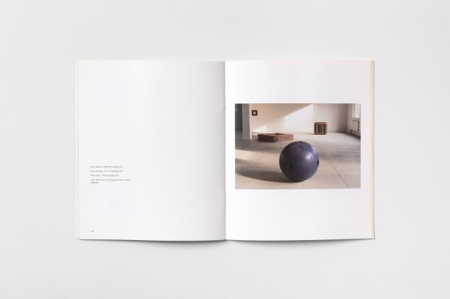 Jackie Winsor at PS1 4