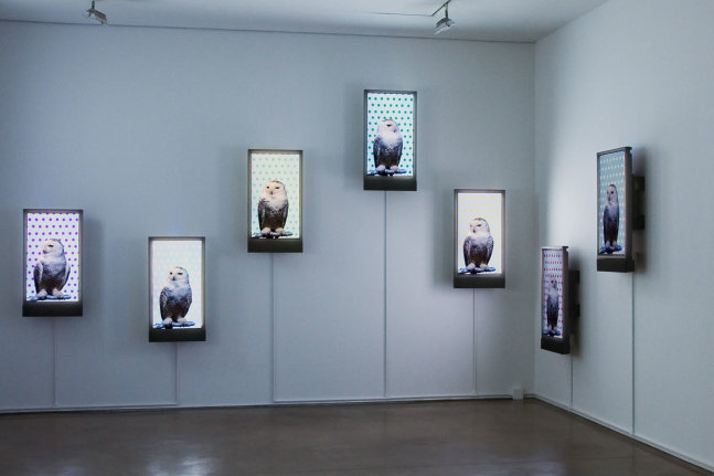 Installation view, Voom Portraits, Paula Cooper Gallery, 534 W 21st Street, New York. January 12 - February 3, 2007. © Robert Wilson. Courtesy Paula Cooper Gallery, New York.