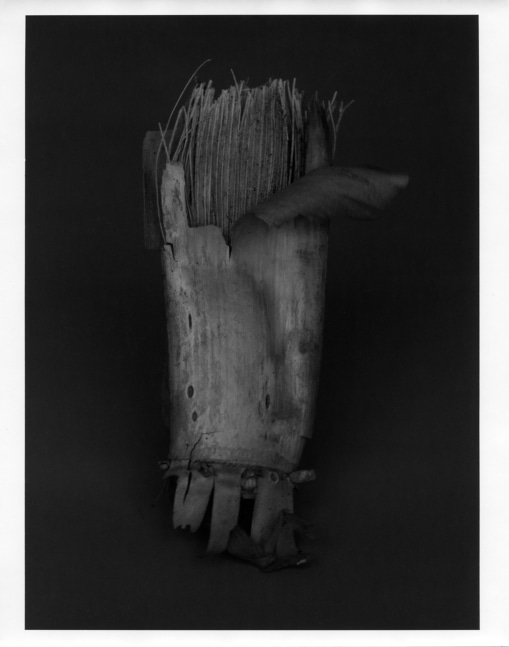 Peter Campus &quot;Gust&quot; 1988 Silverprint photograph 39&quot; x 29 1/2&quot;