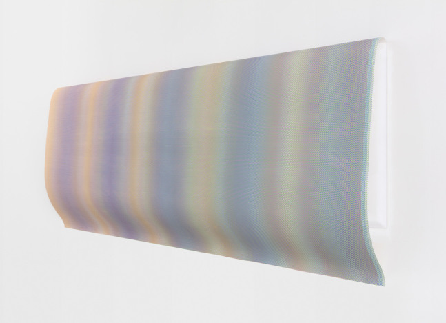 Jane Benson, System of Nature (Reflection II),