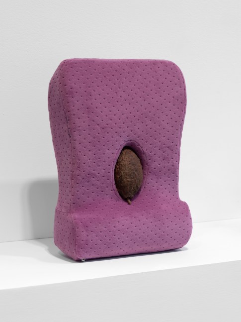 Veronica Ryan, Multiple Conversations I, 2020 pillow, cocoa pod, 14 1/8 x 9 7/8 x 5 1/8 in. (36 x 25 x 13 cm)