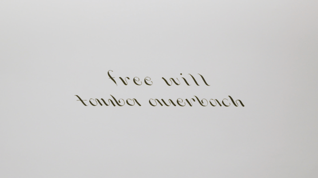 Video walkthrough of the exhibition