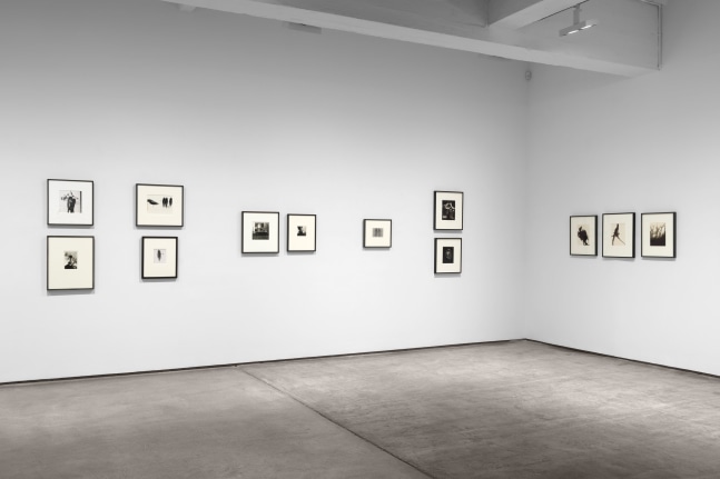 Installation view, Inventing Objects: Jay DeFeo’s Photographic Work, Paula Cooper Gallery, New York, September 9 – October 28, 2023.  © 2023 The Jay DeFeo Foundation/Artists Rights Society (ARS), New York. Photo: Steven Probert.