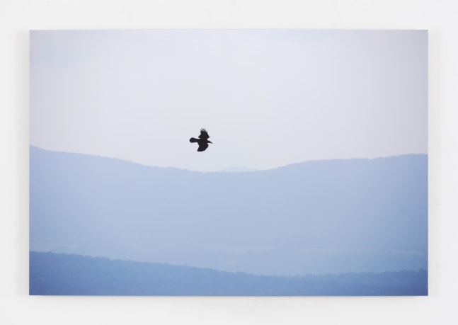 Hans Haacke, Checking, 2008 UV matte laminated color inkjet photo mounted on aluminum 33 x 55 x 1 in. (83.8 x 139.7 x 2.5 cm)