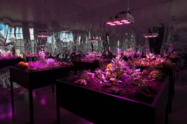 Meg Webster Solar Grow Room, 2016 4 raised wooden planters with grass, flowers and other vegetation, off-grid solar powered electrical system, grow lights, mylar covered walls each planter: 42 x 50 x 50 inches (106.8 x 127 x 127 cm) in room 13'10" x 21' 6" x 21' 6"