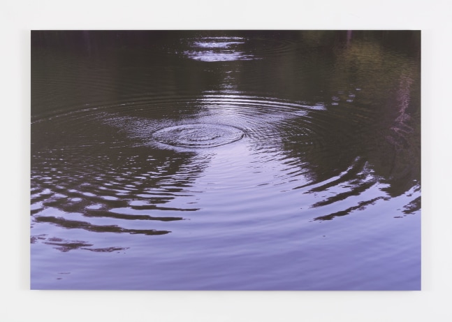 Hans Haacke From Here to There, 2014 UV matte laminated color inkjet photo mounted on aluminum 44 x 66 x 1 in. (111.8 x 167.6 x 2.5 cm) Edition 1 of 3,  1 AP
