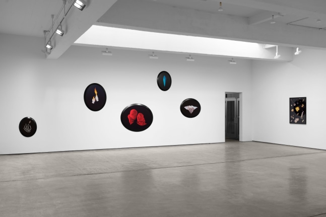 Installation view, Sarah Charlesworth: Desire and Seduction,  Paula Cooper Gallery, New York, February 20– March 29, 2025. © The Estate of Sarah Charlesworth. Courtesy Paula Cooper Gallery, New York. Photo: Steven Probert
