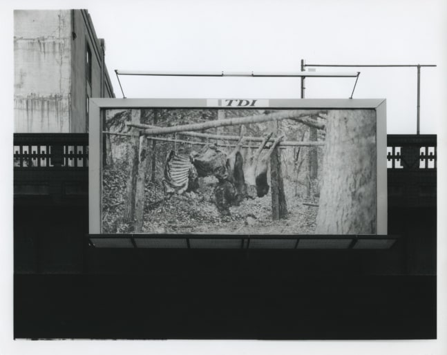 Installation view, Recent Photographs, Paula Cooper Gallery, 534 W 21st Street, New York. January 9 - Febraury 13, 1999. © Zoe Leonard. Courtesy Paula Cooper Gallery, New York. Photo: Dorothy Zeidman.