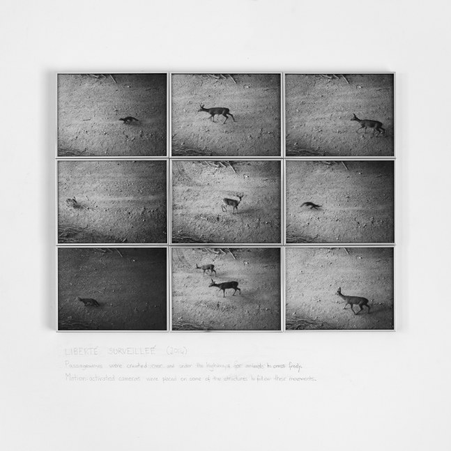Sophie Calle Liberté surveillée, 2014 9 digital prints each: 7 1/2 x 9 3/4 in. (19.1 x 24.8 cm) framed, each: 7 3/4 x 10 x 1 in. (19.7 x 25.4 x 2.5 cm) overall: 23 1/4 x 30 1/4 x 1 in. (59.1 x 76.8 x 2.5 cm) Edition 1 of 3