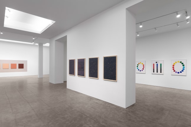 Installation view, Bernd and Hilla Becher, Sarah Charlesworth, Sherrie Levine, Organized by Sherrie Levine, February 29 – August 17, 2020