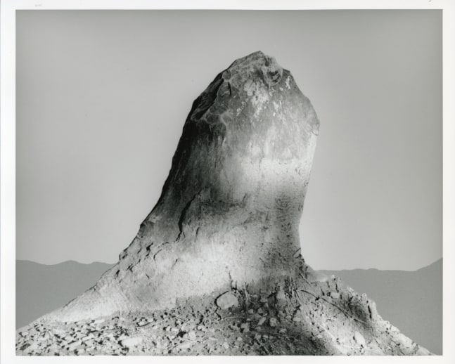 Peter Campus &quot;stump&quot; 1990 Digital photograph 20&quot; x 24&quot; sheet