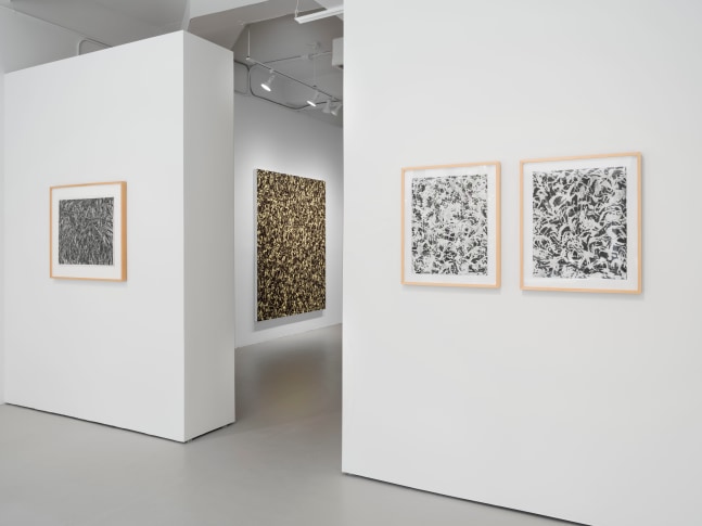 Installation view, Julian Lethbridge: Sport and Play?, Paula Cooper Gallery, Palm Beach, November 19 - December 10, 2022