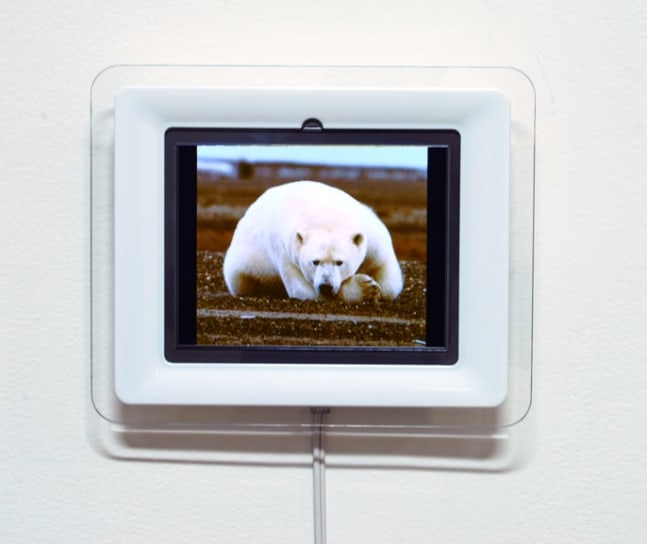 Meg Webster "Bear" 2008 Electronic photographs 7 3/8 x 9 1/4 x 1 3/8 in.
