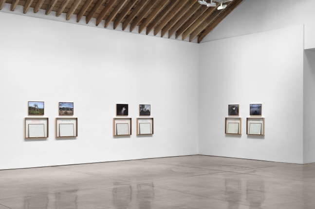 Installation view, Sophie Calle: On the Hunt, Paula Cooper Gallery, New York, September 5 – October 18, 2025. © 2025 Sophie Calle / Artists Rights Society (ARS), New York / ADAGP, Paris. Courtesy of Sophie Calle and Paula Cooper Gallery, New York. Photo: Steven Probert
