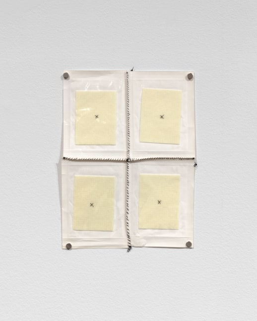 Veronica Ryan Stitched Up, 1994-1995 plastic, gauze, thread