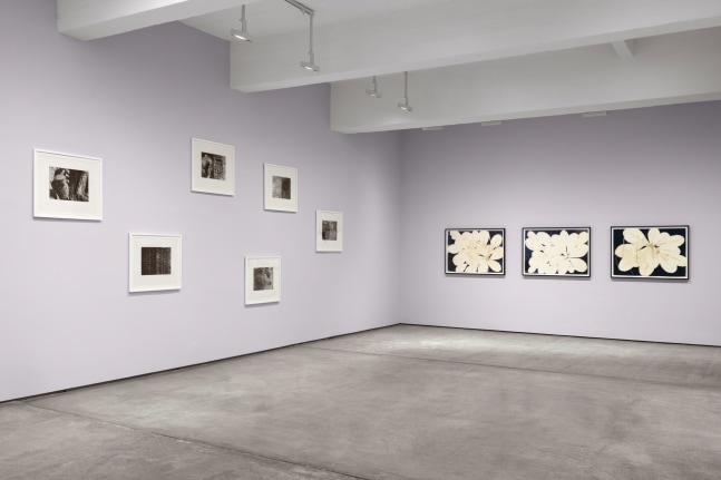 Installation view, Terry Adkins: Works on Paper, Paula Cooper Gallery, New York, November 2 - December 7, 2024. Photo: Steven Probert.