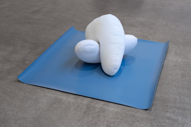 Veronica Ryan Armour, Armature II, 2017 2 cushions, blue linoleum