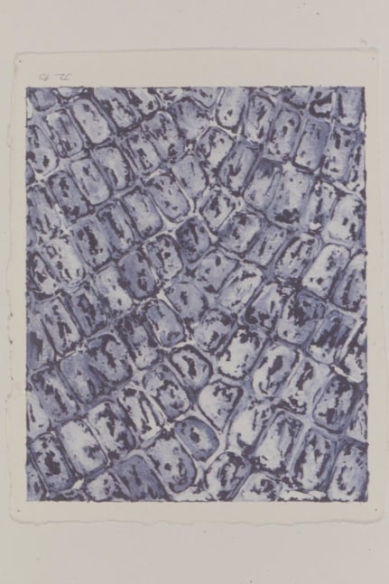 Julian Lethbridge &quot;Untitled&quot; 1990 Graphite and acrylic on paper 12 1/2&quot; x 9 3/4&quot; sheet