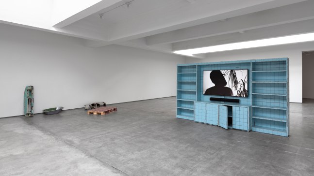 Installation view, Matias Faldbakken, EUROPE IS BALDING, February 18 – March 19, 2016