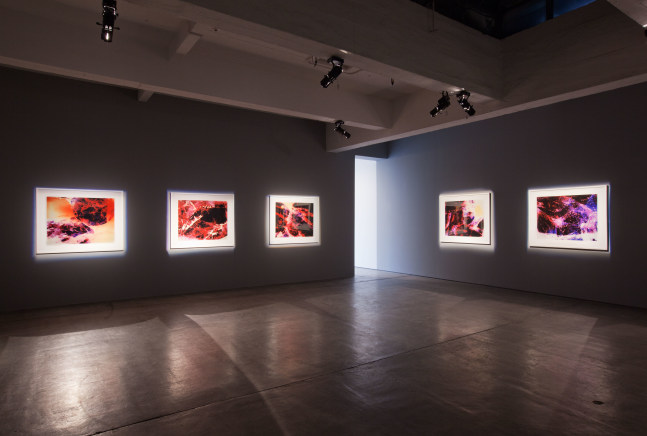 Installation view 2, Carey Young, Contracting Universe, October 30 – November 27, 2010