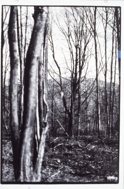 Zoe Leonard &quot;Untitled - for Barb&quot; 1992 Gelatin silver print 27&quot; x 18 1/8&quot; image, 29&quot; x 19 1/2&quot; sheet