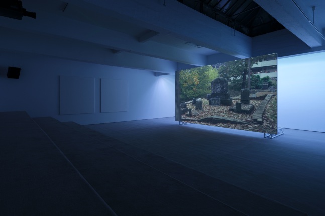 Installation view, Paul Pfeiffer: Red Green Blue, November 12 - December 22, 2022, 521 W 21st Street